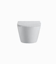 Унитаз подвесной безободковый (торнадо) DQ Rhein.Bach 500*360*350мм, сиденье микролифт, белый (DT1476516)