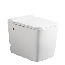 Унитаз ABBER Rechteck AC1212P приставной белый с импульсным смывом