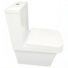 Напольный унитаз BelBagno Marco BB118CP